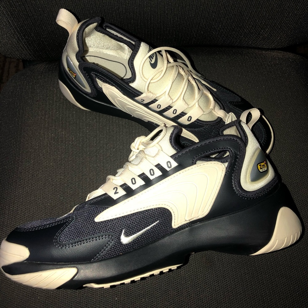 Woman’s Nike zoom Pegasus 2000’s